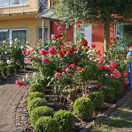 Ferienhaus Schloss-Garten Kapellen-Drusweiler Экстерьер фото