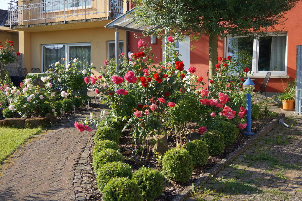 Ferienhaus Schloss-Garten Kapellen-Drusweiler Экстерьер фото