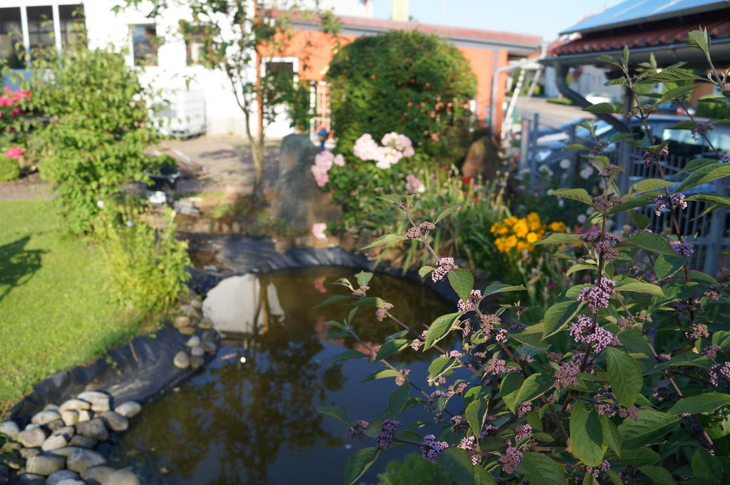 Ferienhaus Schloss-Garten Kapellen-Drusweiler Экстерьер фото